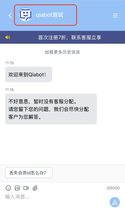 访客会话页面显示团队名称和头像